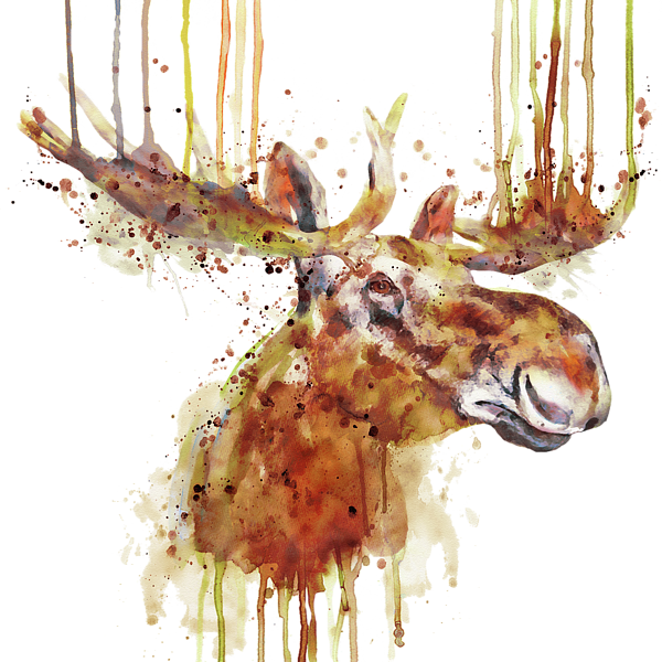 Click And Drag To Re-position The Image, If Desired - Moose (600x600), Png Download