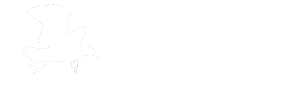 The Jb Photos Nature Photography - Sketch (1024x663), Png Download