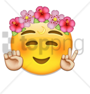 Free Png Transparent Flower Crown Tumblr Png Image - Imagenes De Emojis Png (480x641), Png Download