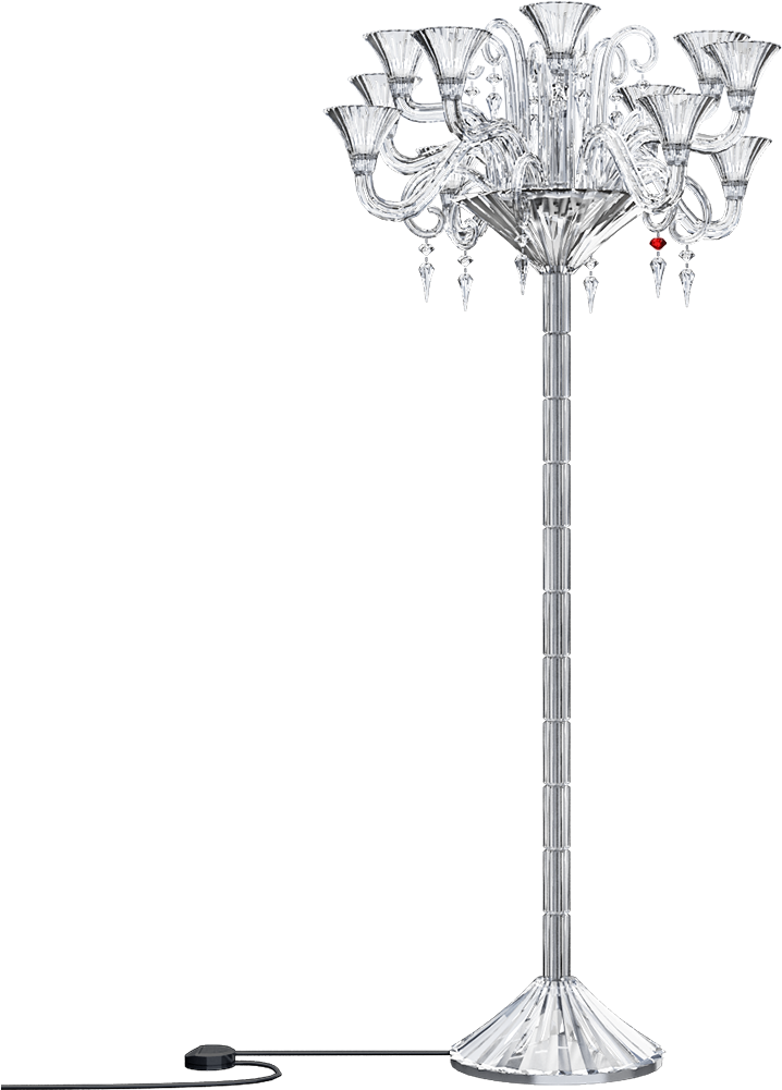 Desert Palm (1000x1000), Png Download