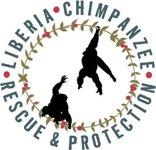 Interested In Becoming A World Chimpanzee Day Partner - Silhouette (655x729), Png Download