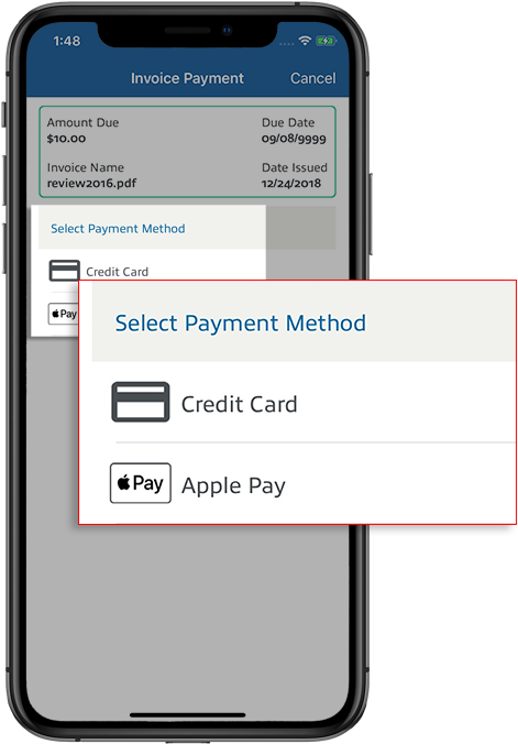 Apply Pay - Portable Network Graphics (480x678), Png Download