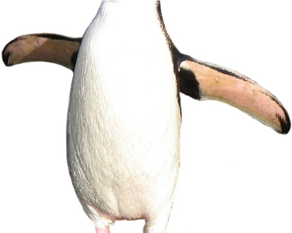 Emperor Penguin Clipart Royal Penguin - Retro Penguin No Background (640x480), Png Download