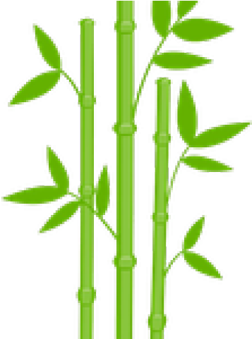 Bamboo Clipart Transparent Background - Bamboo Transparent (640x480), Png Download