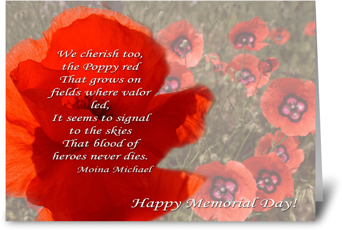 Poppy Head With Poem - Christmas Card (1272x1047), Png Download