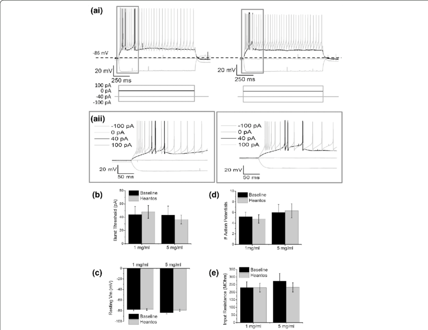 Heantos Does Not Affect Burst Firing In Trn Neurons - Diagram (850x655), Png Download