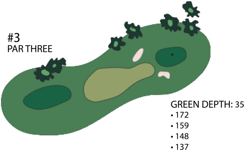 Par 3 - Grass (1000x538), Png Download