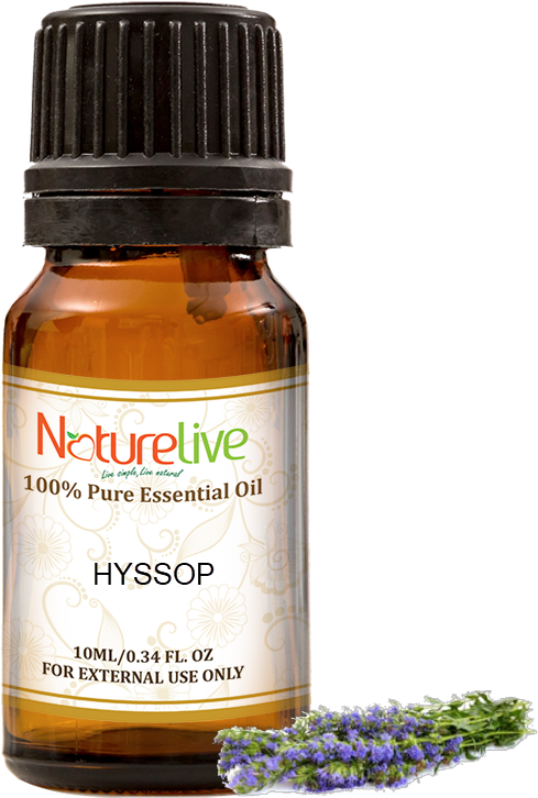 Hyssop Essential Oil 10ml - Essential Oil (800x800), Png Download