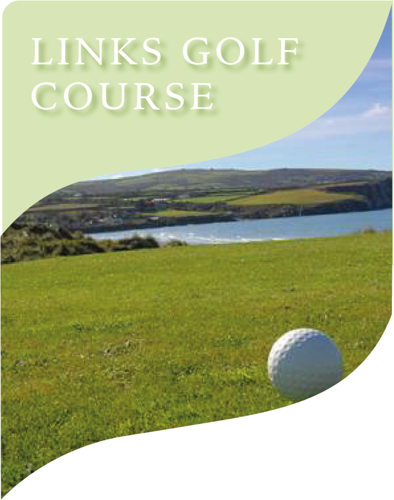 Get Together And Enjoy A Round On Our 18 Hole Links - Grass (782x1000), Png Download