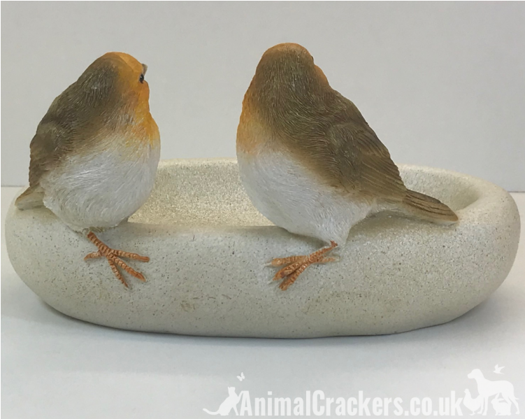 Robin Bird Bath/feeder - European Robin (750x900), Png Download