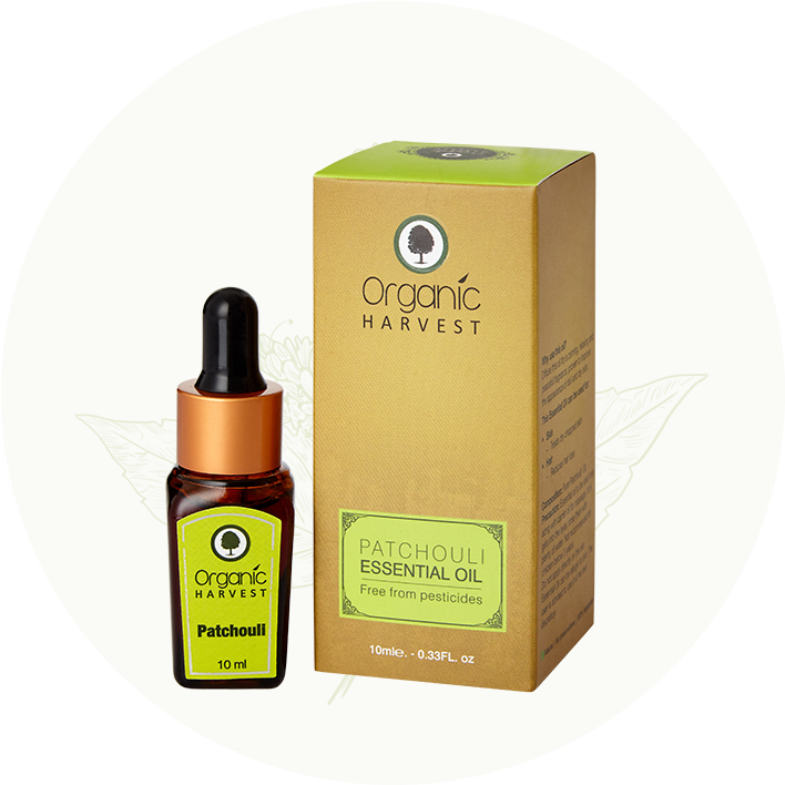 Patchouli Essential Oil - Cosmetics (814x723), Png Download