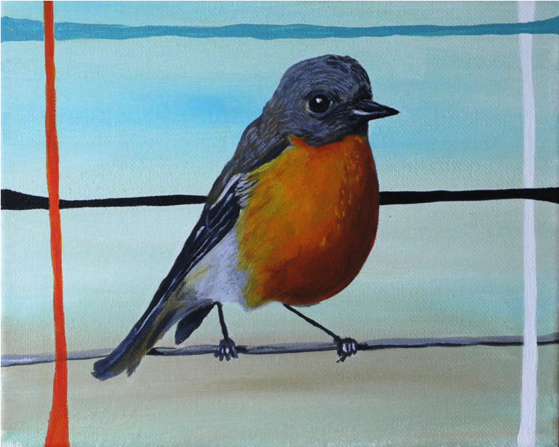 Abstract - Robin (800x800), Png Download