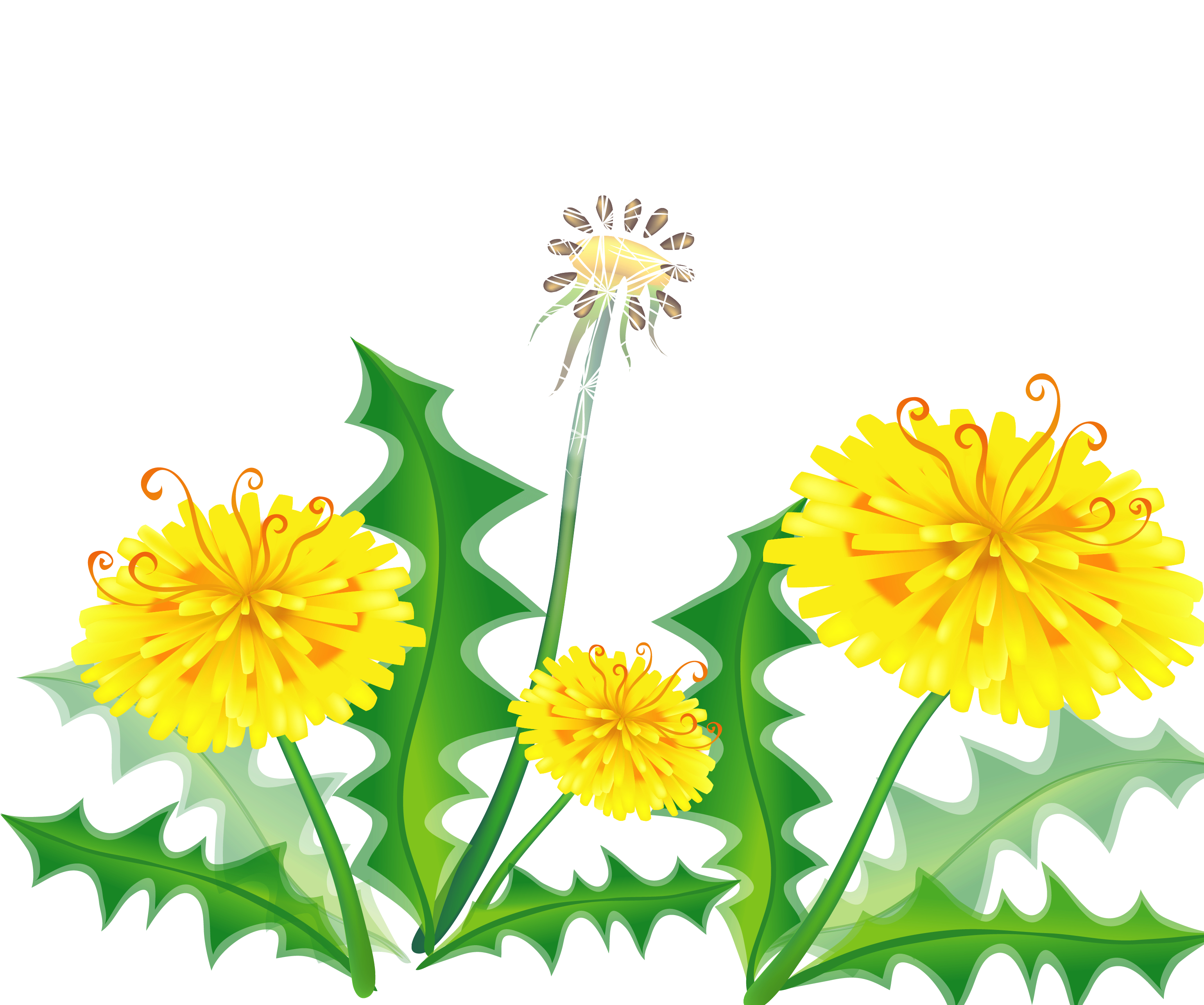 Hand Painted Dandelion Vector Material 3125 - Vector Graphics (3125x3125), Png Download