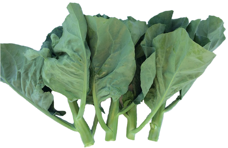 Already A Customer - Chard (800x558), Png Download