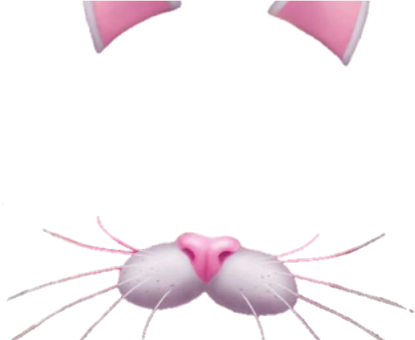 Snapchat Filters Clipart Snap Chat - Snapchat Cat Filter Png (640x480), Png Download