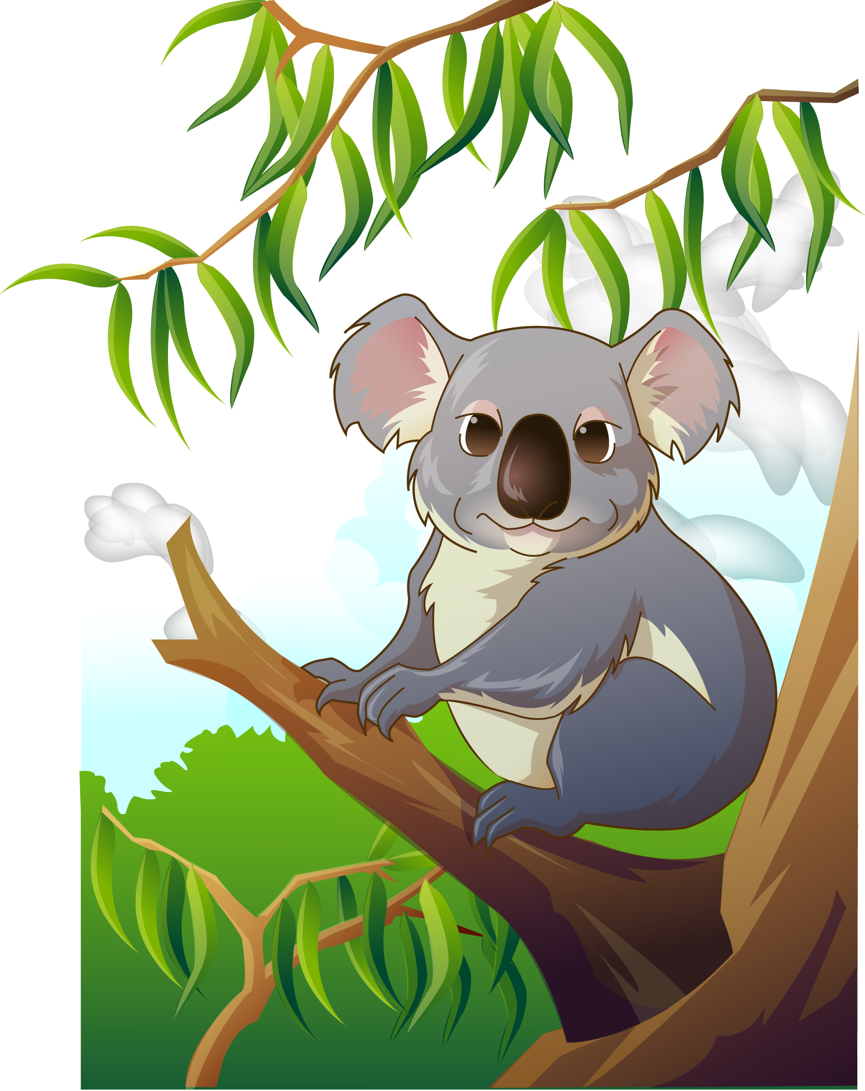 Koala Clip Art - Коала Вектор (1694x2136), Png Download