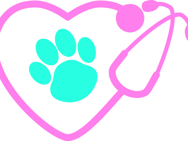 Paw Clipart Stethoscope - Stethoscope With Heart Paw (640x480), Png Download