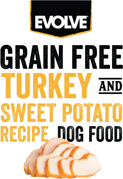 Gfturkeytextheb - Bun (500x625), Png Download