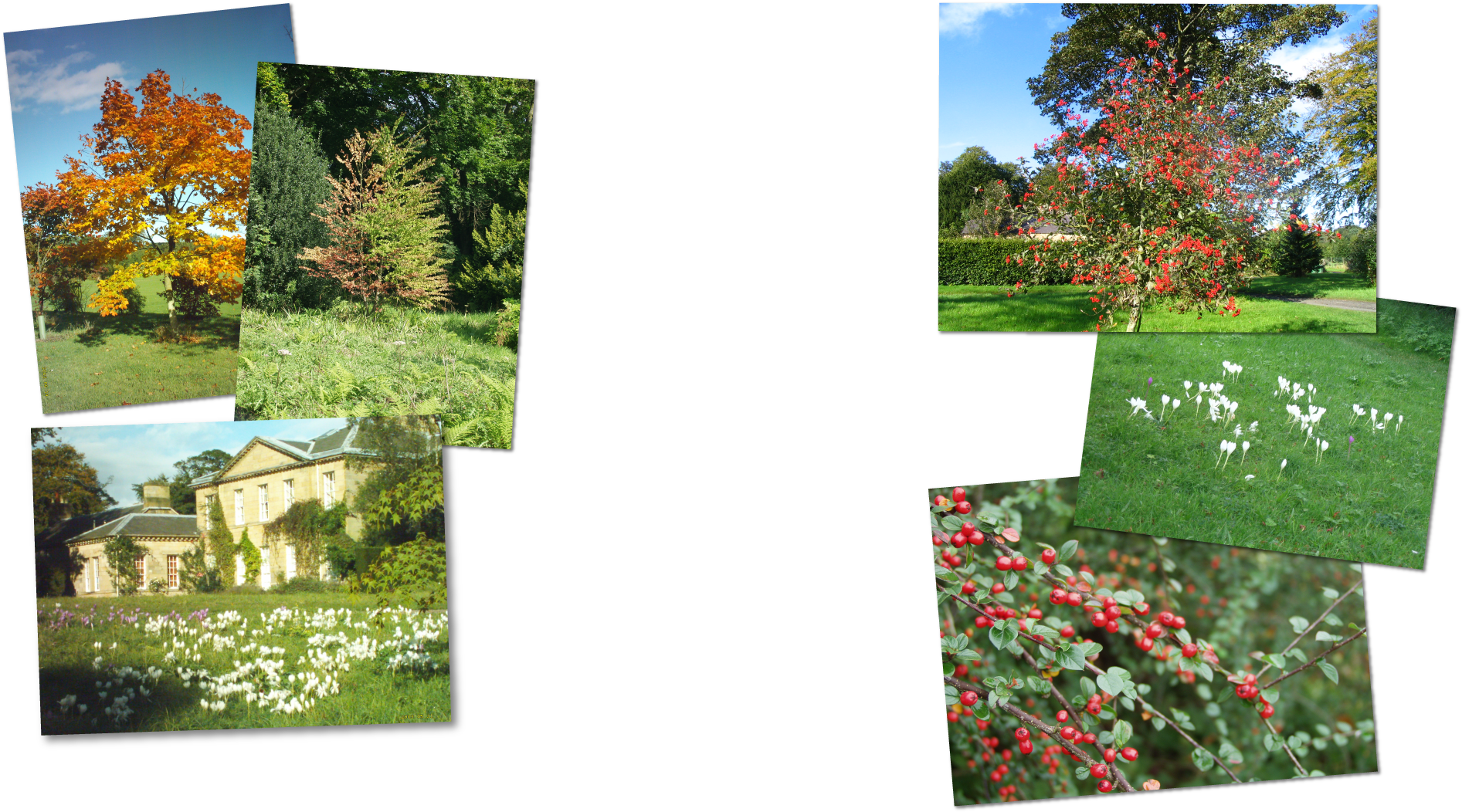Howick Hall Gardens - Yard (2000x1225), Png Download