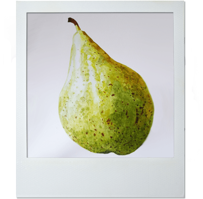 Hilary O'connell - Avocado (700x700), Png Download