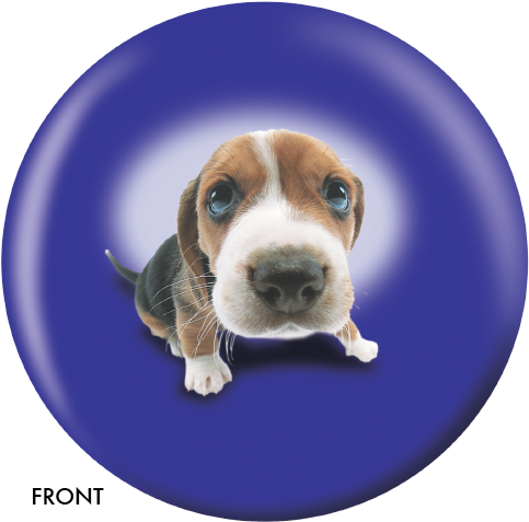 Beagle Bowling Ball (500x500), Png Download