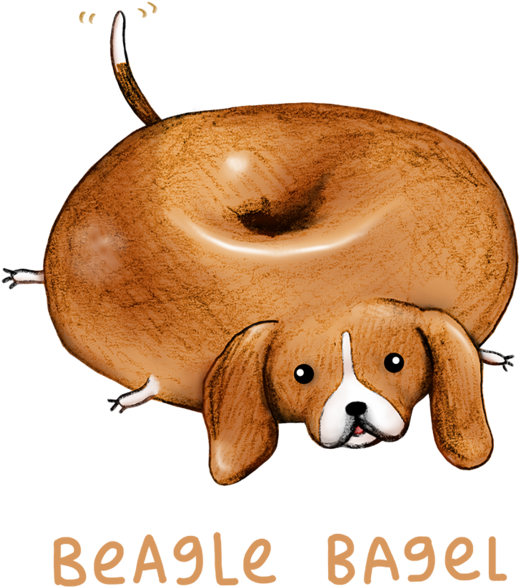 Beagle Bagel (800x693), Png Download