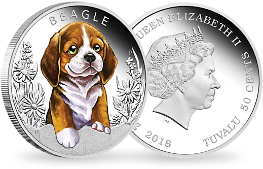 Beagle 2018 1/2 Oz Silver Proof Coin - 2018 Year Of The Dog Lunar 1oz Silver Proof Coloured (535x420), Png Download