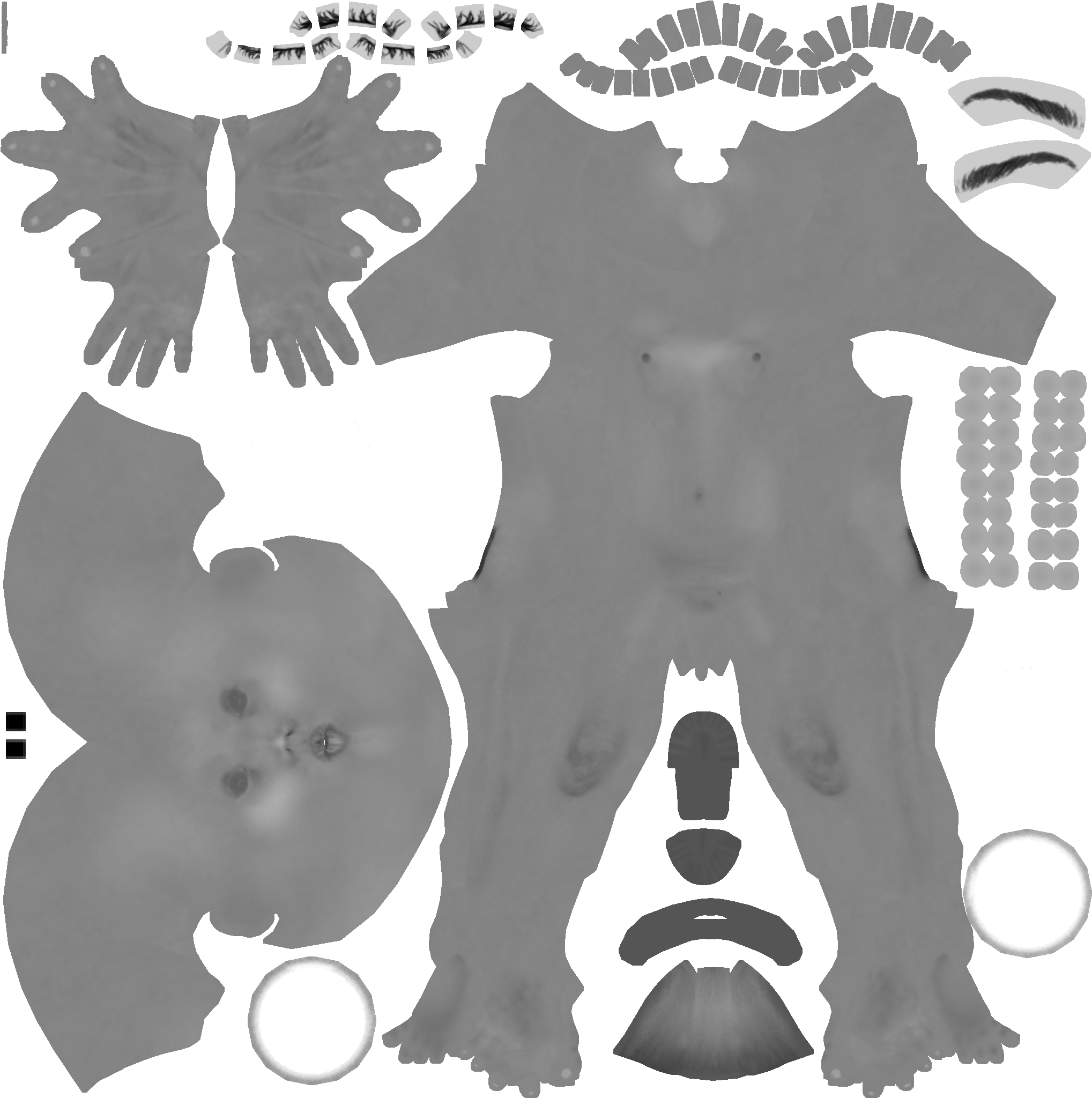 Texture Ref - Body Texture Map Psd (2048x2048), Png Download