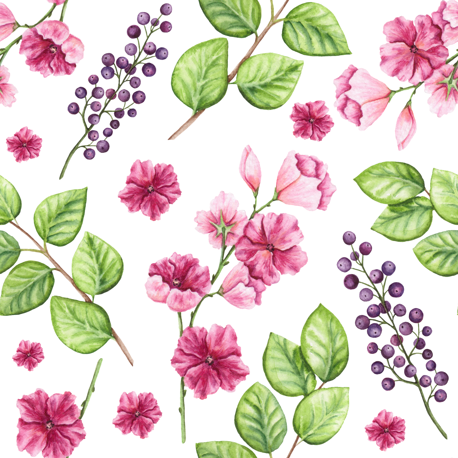 Gilliflower (1600x1600), Png Download