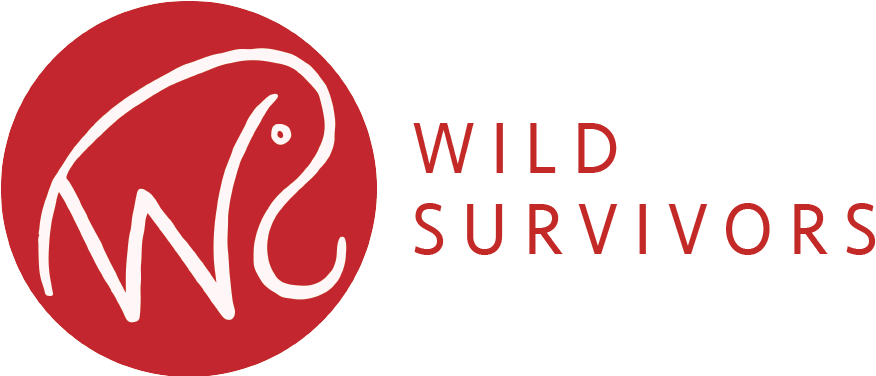 Ws Logo Red - Logo Aje Coruña (893x375), Png Download