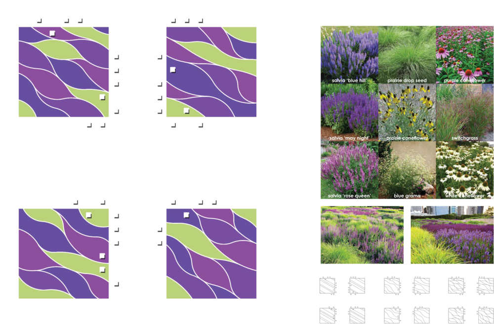 Aspenparkplants (1000x662), Png Download