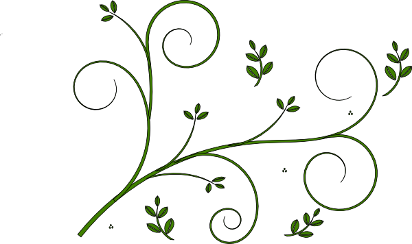 Small - Vine Line Drawing Flower (600x356), Png Download