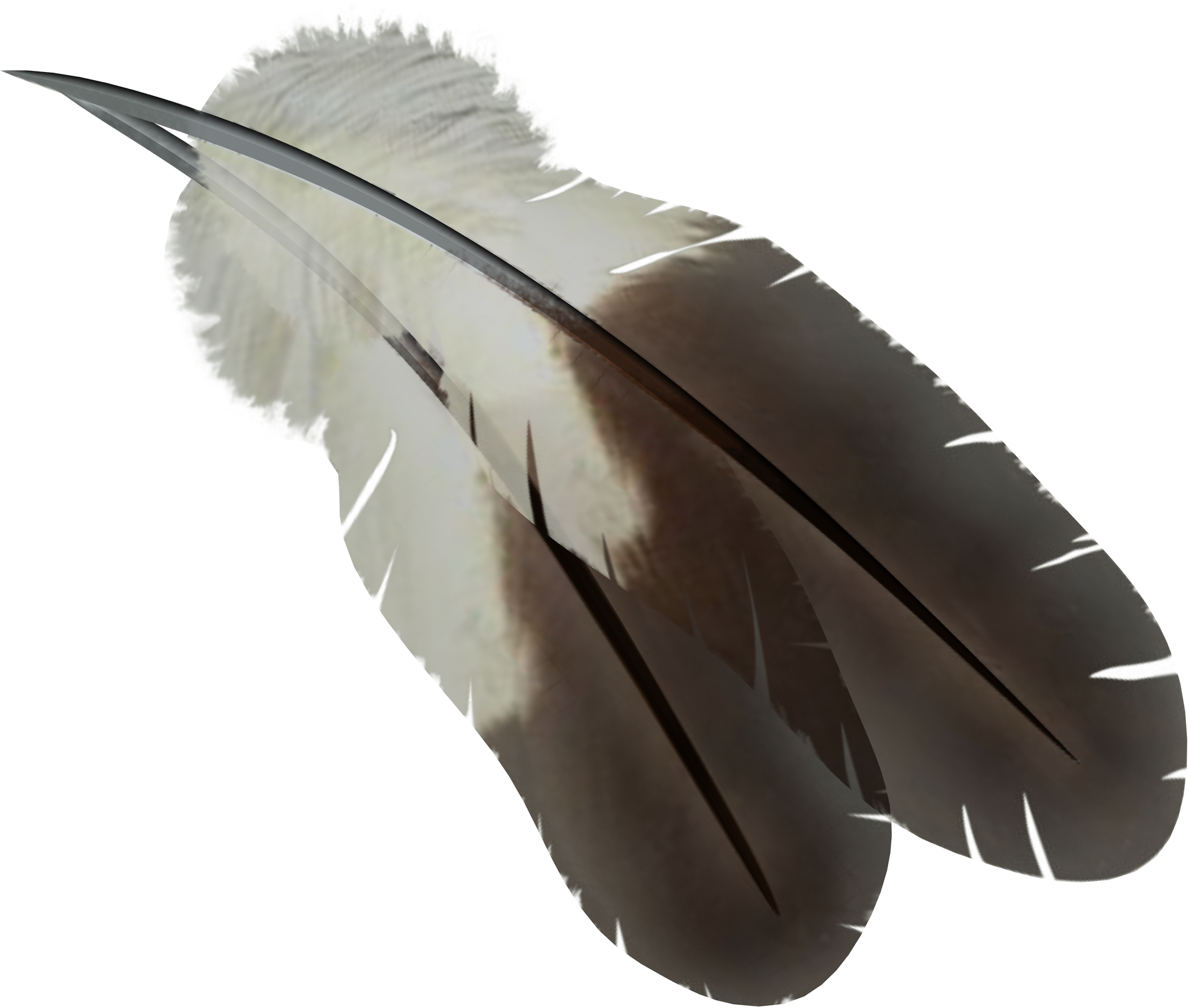 Перья В Png (1948x1651), Png Download