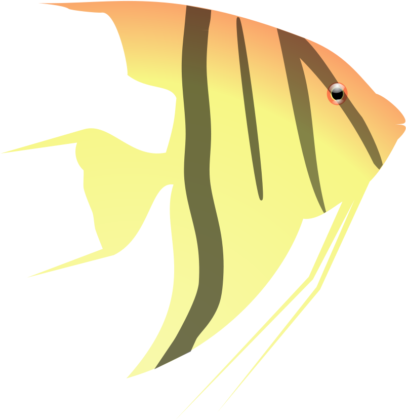 Aquarium, Fish, Yellow, Ocean, Orange, Water - Cartoon Angel Fish Png (621x640), Png Download