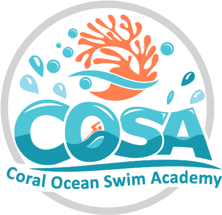 Cosa2-01 - Circle (500x472), Png Download