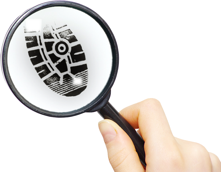 A Generative Approach To Forensic Shoeprint Recognition - El Gran Sueño De Víctor [book] (1000x669), Png Download