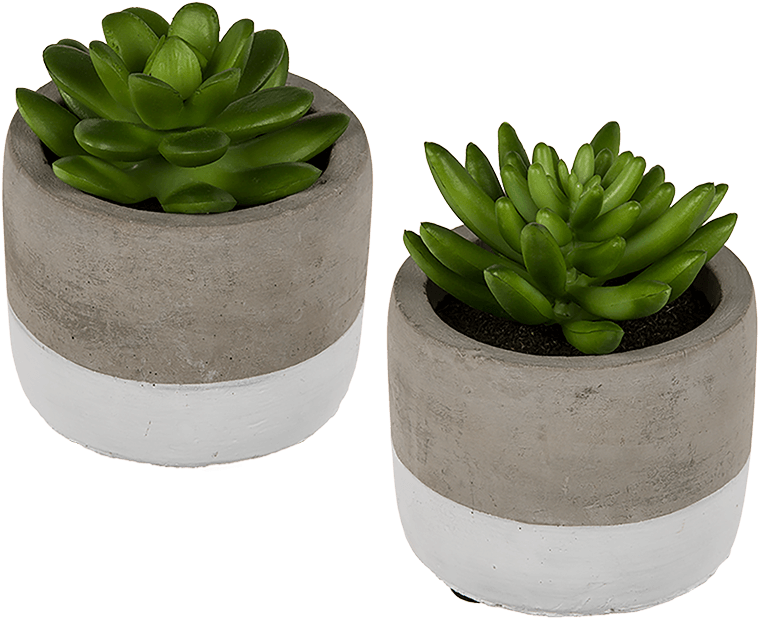 Stone Pots For Succulents (945x709), Png Download