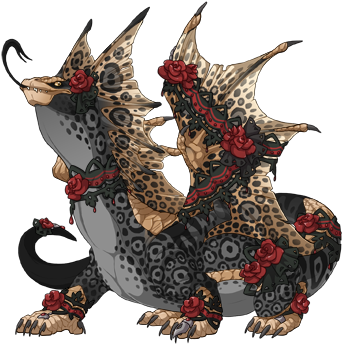 Black Lace Set Bogsneak M - Teal (350x350), Png Download