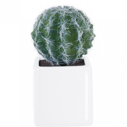 11671000 Asa-selection Deko Cactus Iv - Asa-selection Deko Succulent (420x420), Png Download