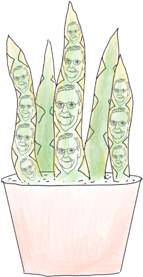 It Is One Of The Most Tolerant, Even Among Succulents, - Horticulture (400x599), Png Download