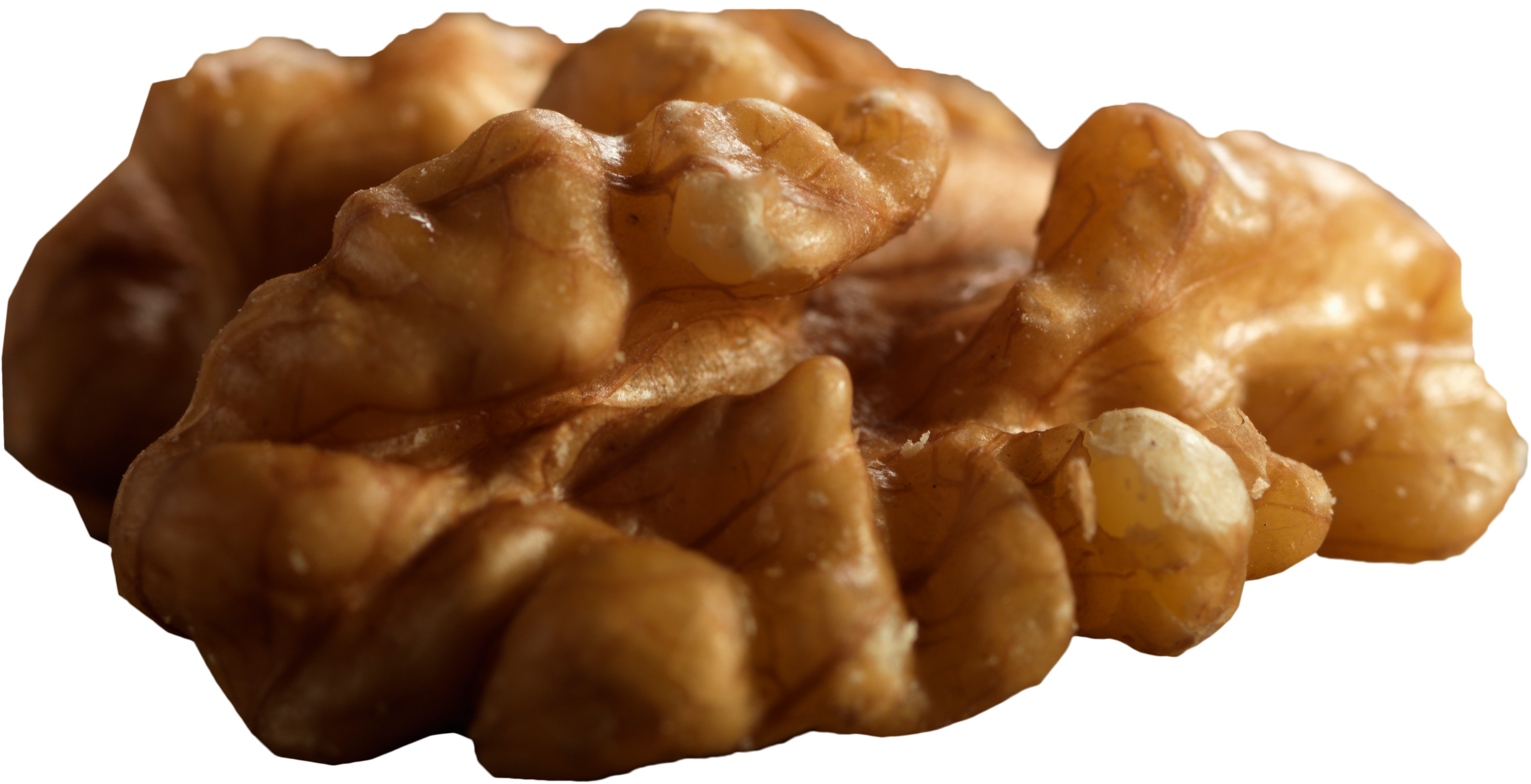 Walnut Transparent (5712x4175), Png Download