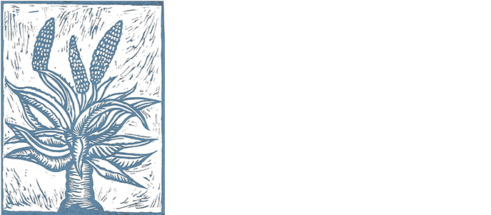 Aloes & Agaves In Cultivation (700x300), Png Download