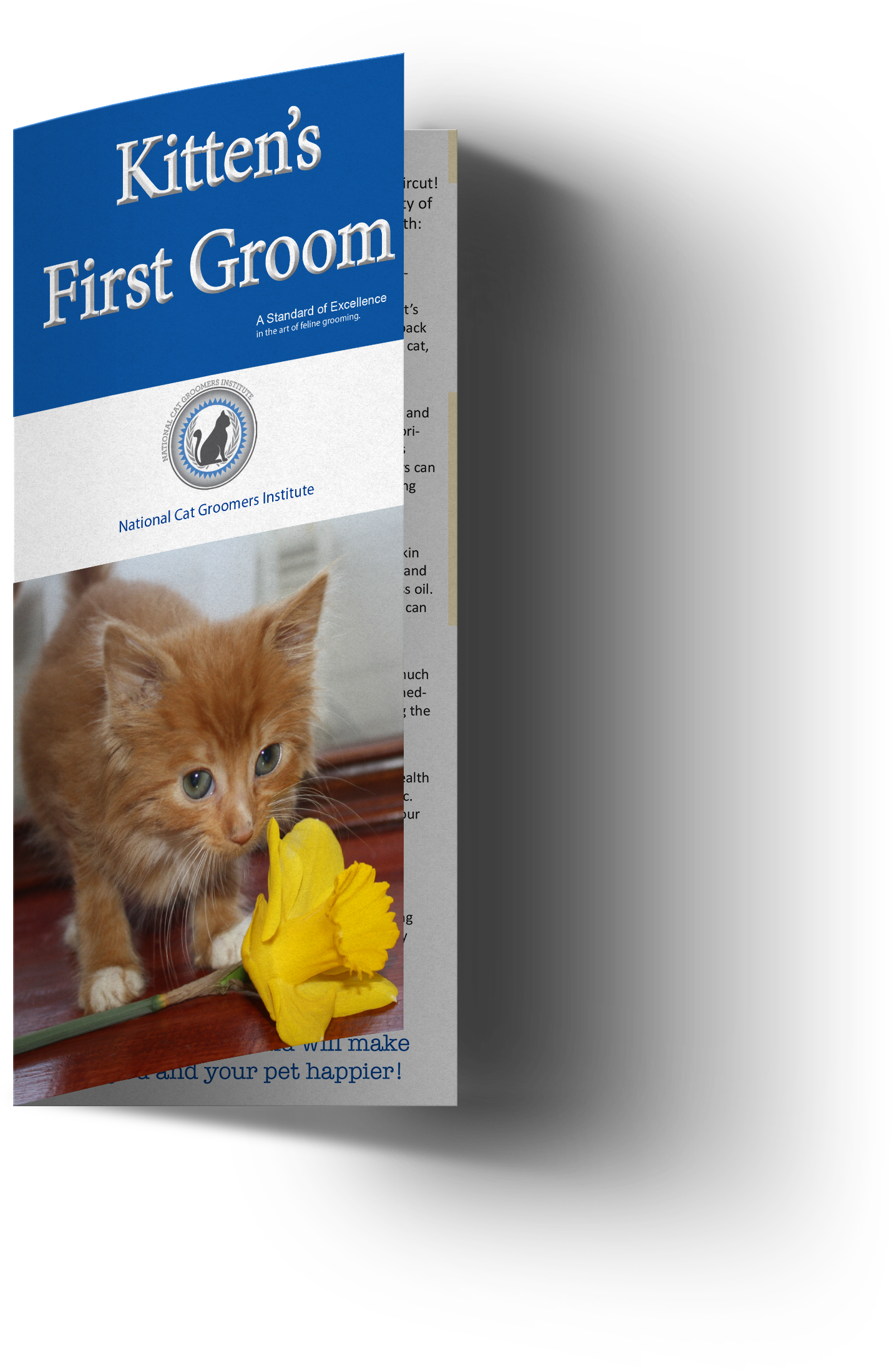 Kitten Customer Brochures (2123x3000), Png Download