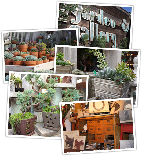 The Garden Gallery, Morro Bay, California - Garden Gallery (465x509), Png Download