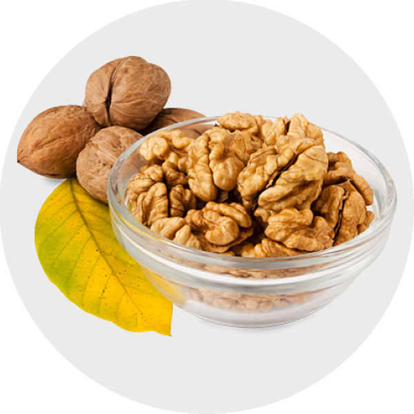 Walnut Kernels - Walnut (600x600), Png Download