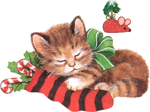 Christmas Cat Png (500x372), Png Download