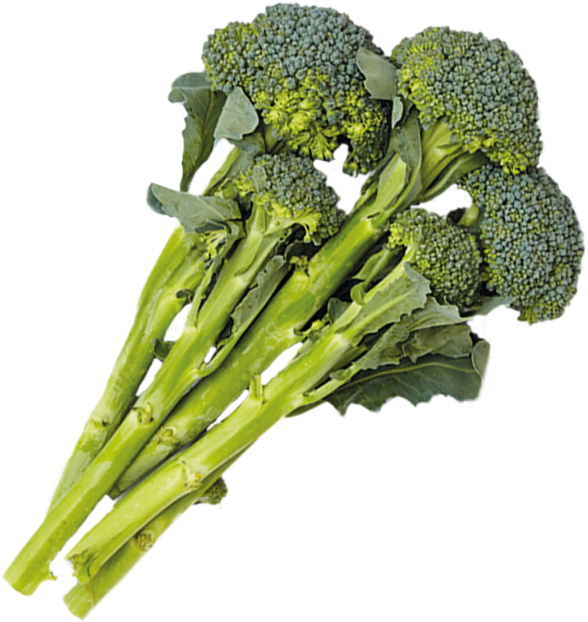 1 Cup - Broccoli (640x640), Png Download