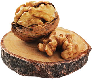 Walnuts - Ankara (400x400), Png Download