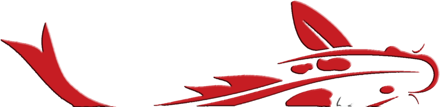 Koi Outline Red Bevel - Red (1000x217), Png Download