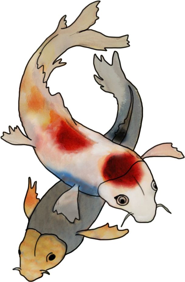 Clipart Resolution 757*993 - Koi (757x993), Png Download